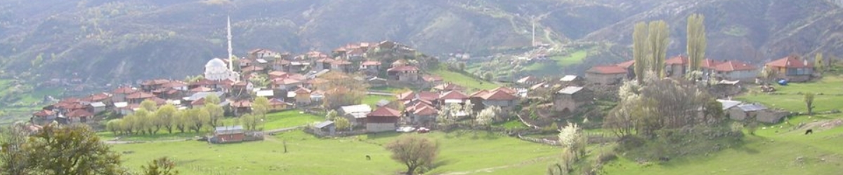 Kızılcahamam