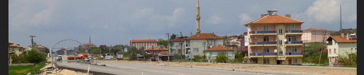 Şereflikoçhisar