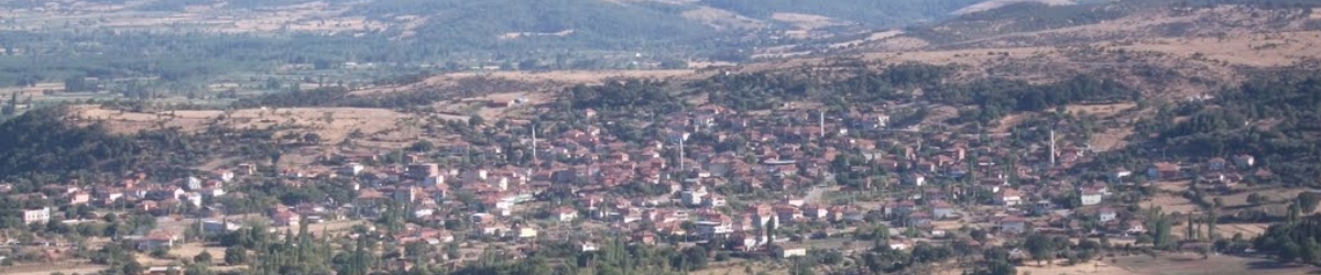 Savaştepe