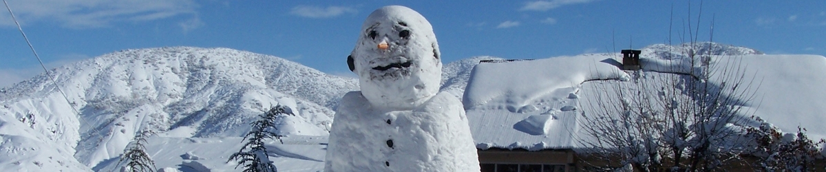 Mutki