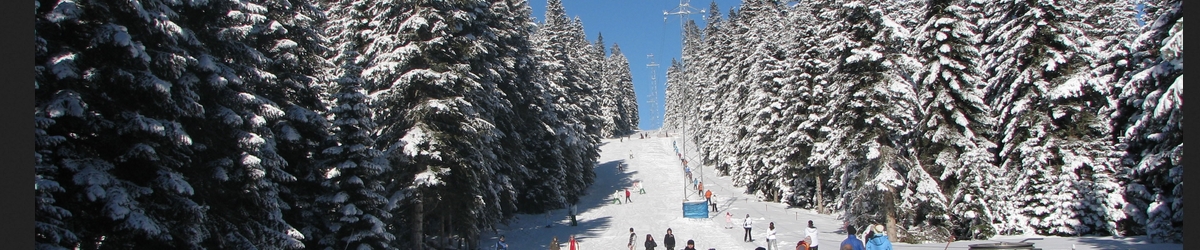 Ilgaz