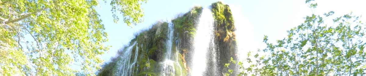 Güney Güney