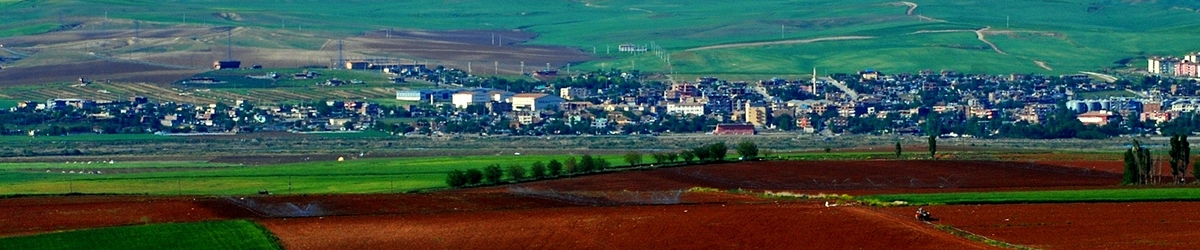 Bismil Bismil