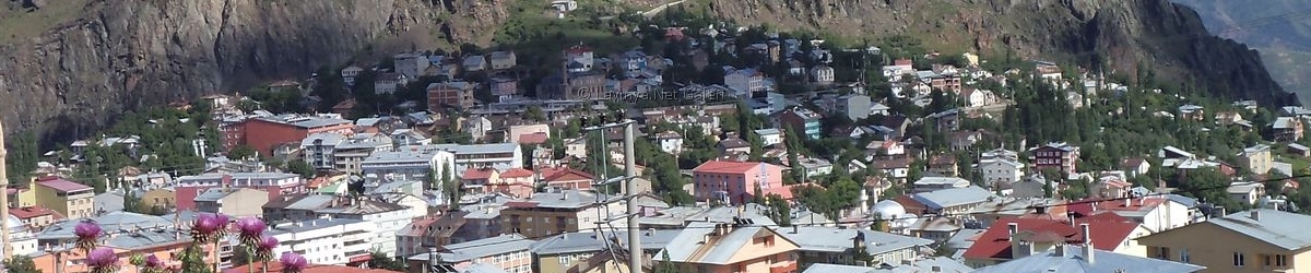 Şebinkarahisar