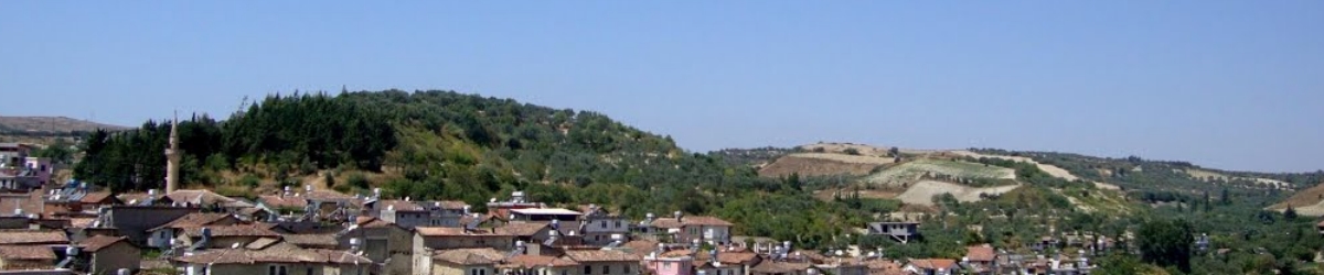 Altınözü