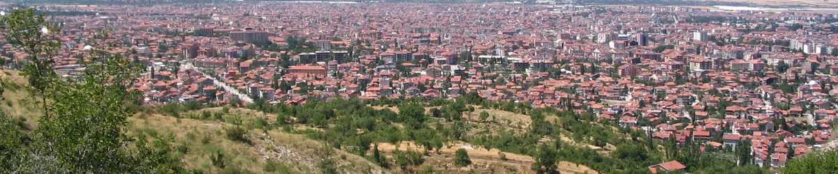 Şarkikaraağaç