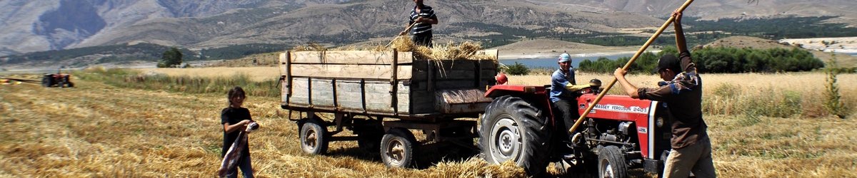 Halkapınar