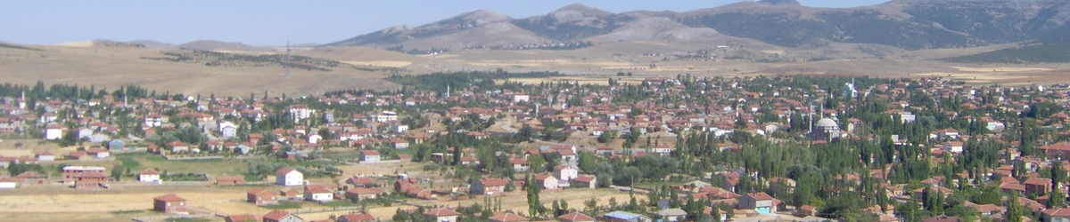 Sarayönü