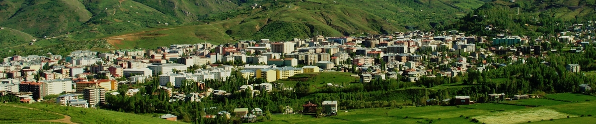 Bulanık