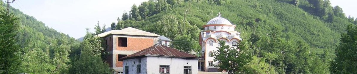 Gölköy