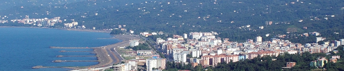 Beşikdüzü