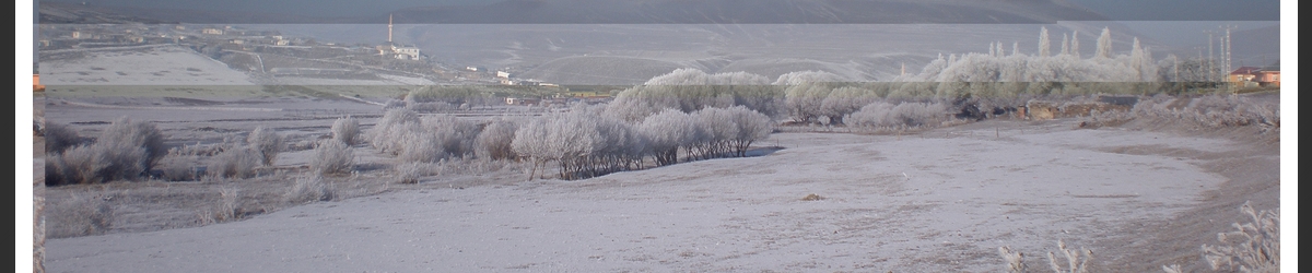 Kadışehri