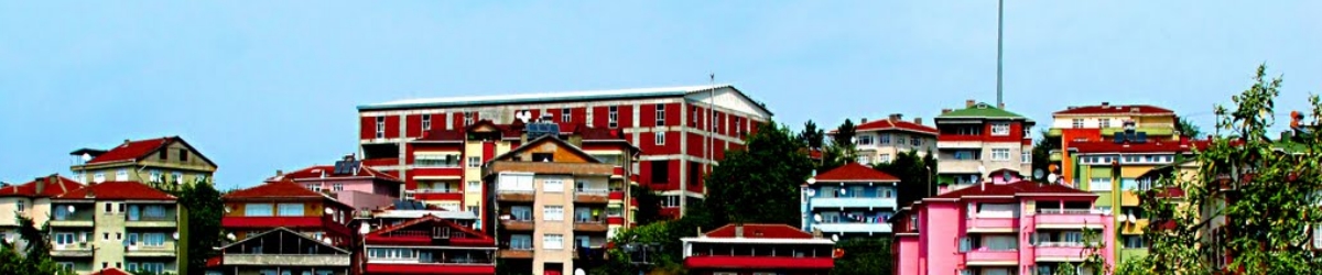Alaplı