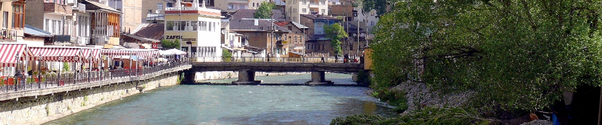 Bayburt Şemsiye