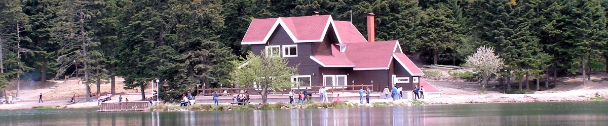 Bolu Şemsiye