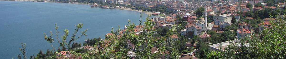 Ordu Şemsiye