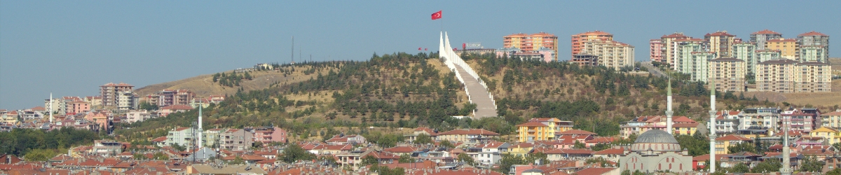 Sakarya Şemsiye