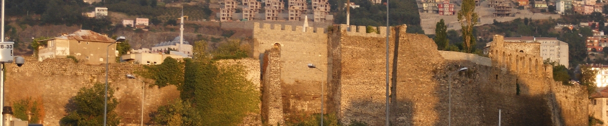 Trabzon Şemsiye